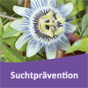 Suchtprävention